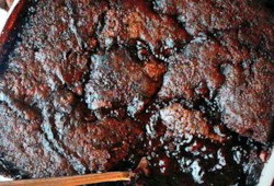 Deep Dark Hot Fudge Pudding Cake