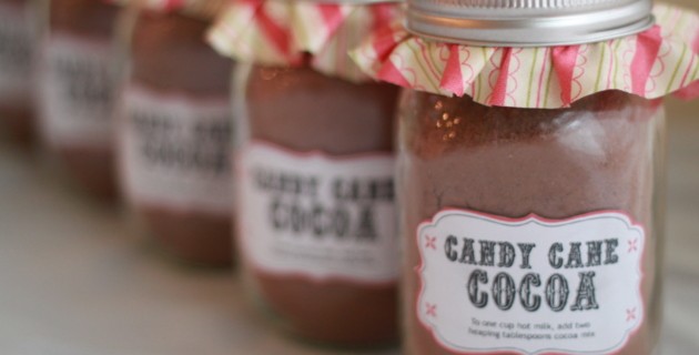Homemade Candy Cane Hot Cocoa Mix