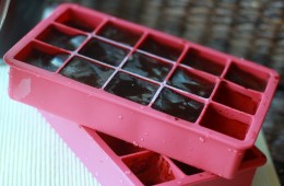 Tuesday Tip: Coffee Ice Cubes