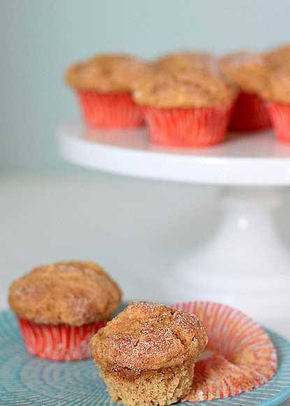 Cinnamon and sugar mini muffins | Kitchen Treaty