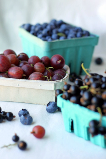 blueberry berry sugar diake kezelés