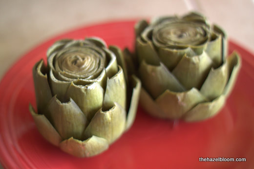 Two cooked artichokes on a plate