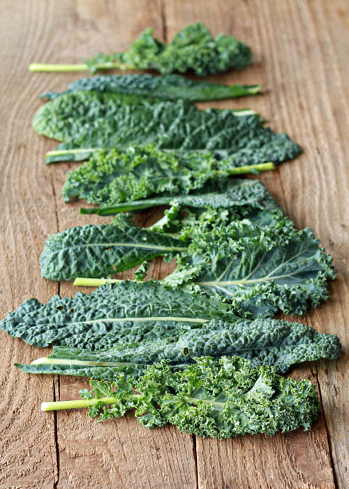 How to Make Kale Chips - Salty, crispy, addicting, and from garden to oven in 15 minutes ... making your own kale chips couldn't be easier.
