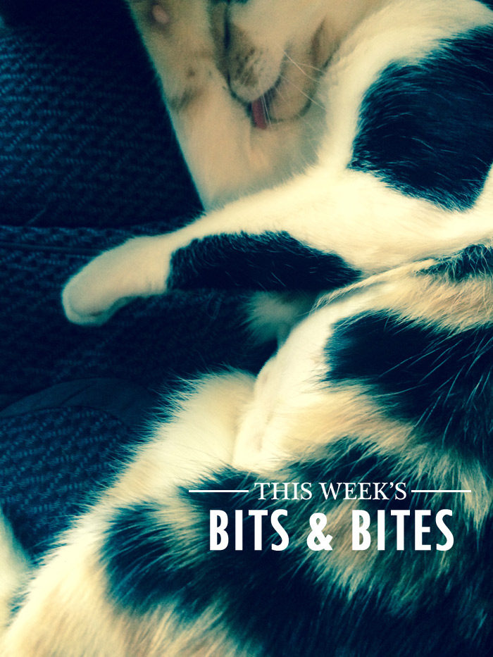 This Week's Bits & Bites