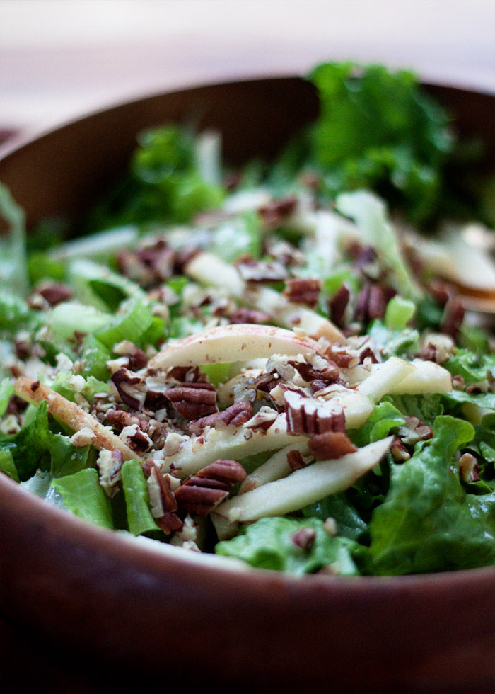 Simple Fall Green Salad with Apples & Pecans recipe - A refreshing side salad with crisp apples, toasted pecans, crunchy celery, all dressed with maple-cider vinaigrette. A family favorite! (vegan)