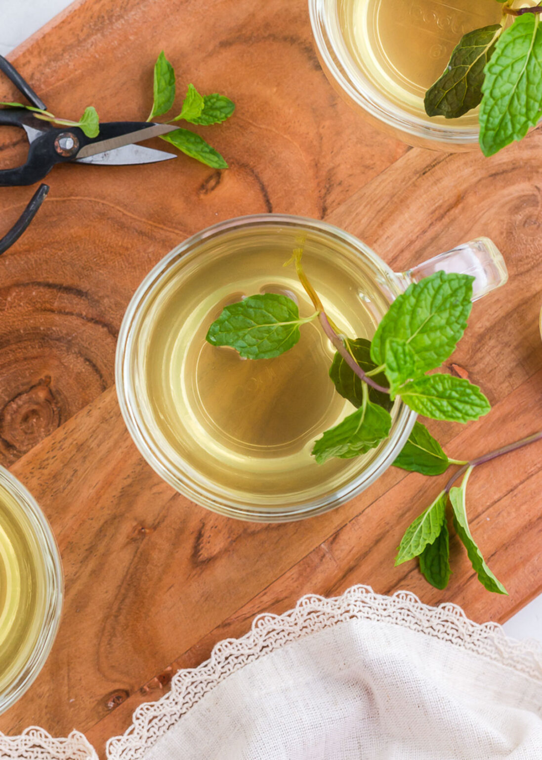 Fresh Mint Tea Recipe (Hot or Iced!)