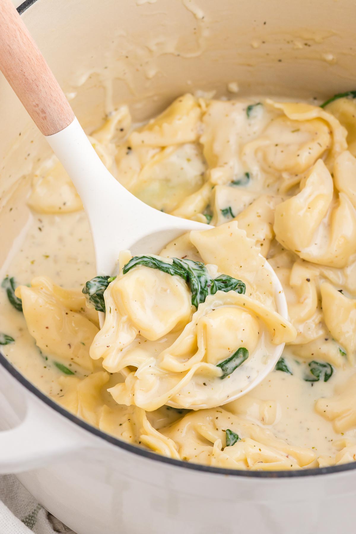 Un bol de tortellinis Alfredo crémeux 18 one pot tortellini alfredo 14
