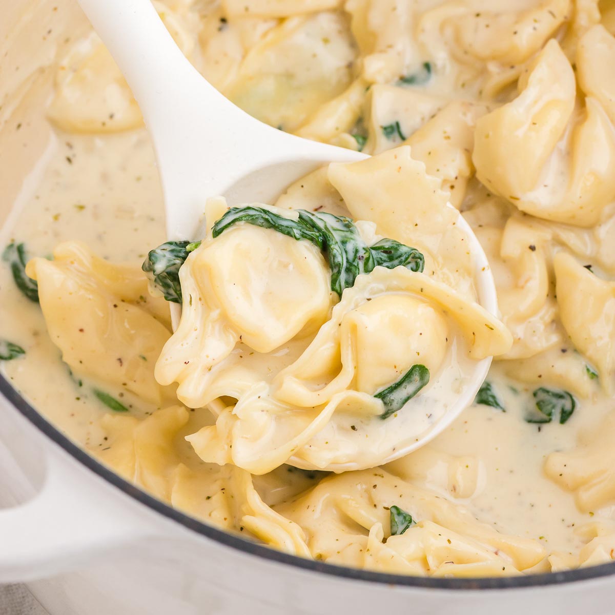 Un bol de tortellinis Alfredo crémeux 17 one pot tortellini alfredo 15