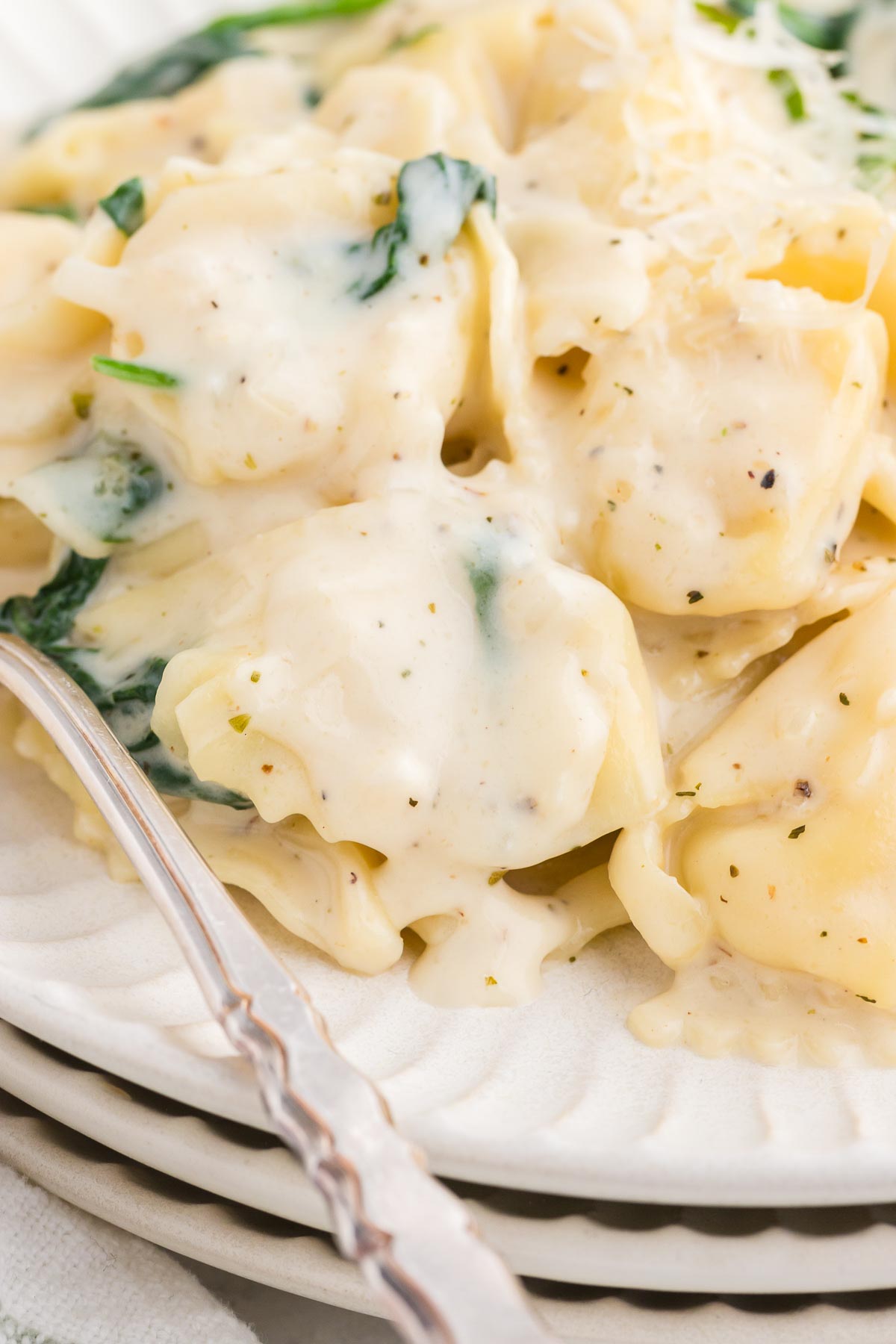 Un bol de tortellinis Alfredo crémeux 11 one pot tortellini alfredo 21