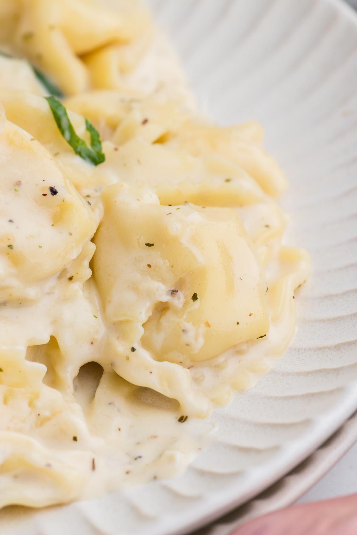 Un bol de tortellinis Alfredo crémeux 6 one pot tortellini alfredo 26