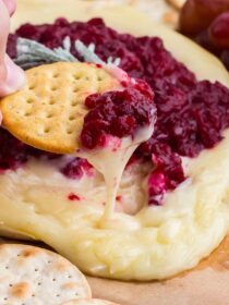 a cracker scooping melty brie and cranberry sauce