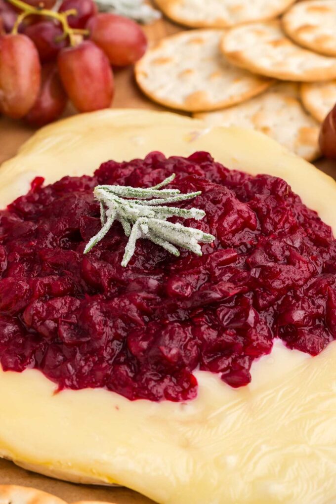 cranberry baked brie with a sprig of sugared rosemary on top