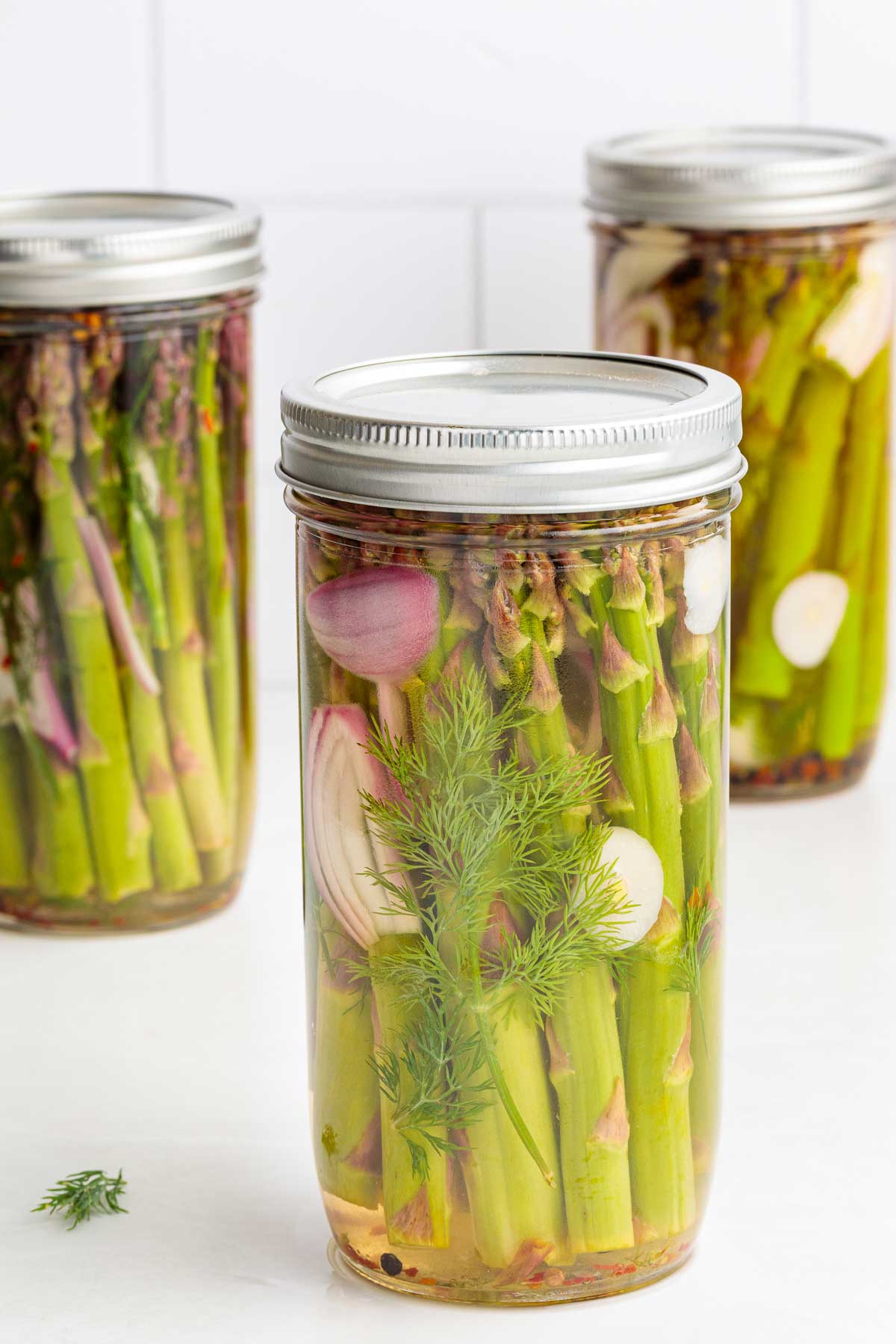 Three jars of Quick Pickled Asparagus on a white background with lids on