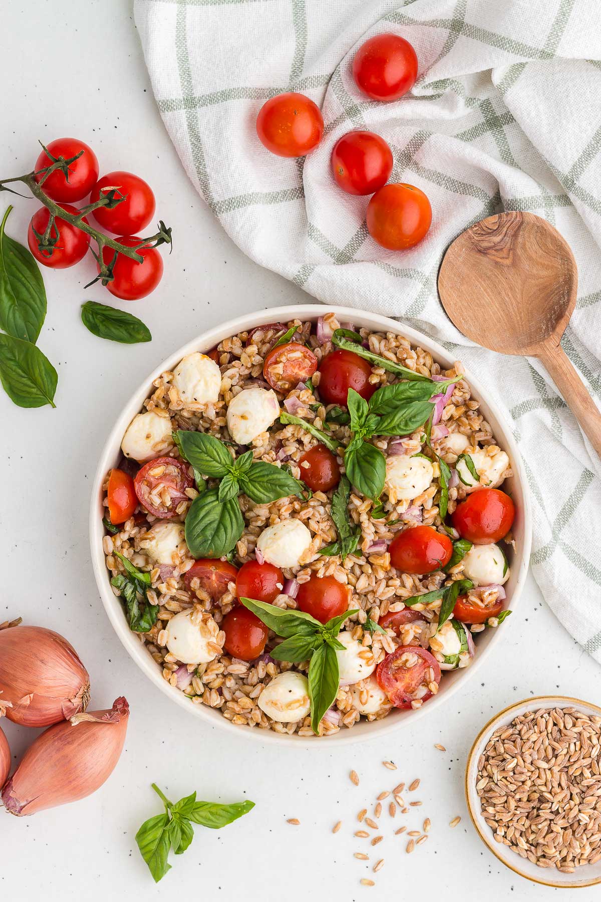 top view of gorgeous farro caprese salad