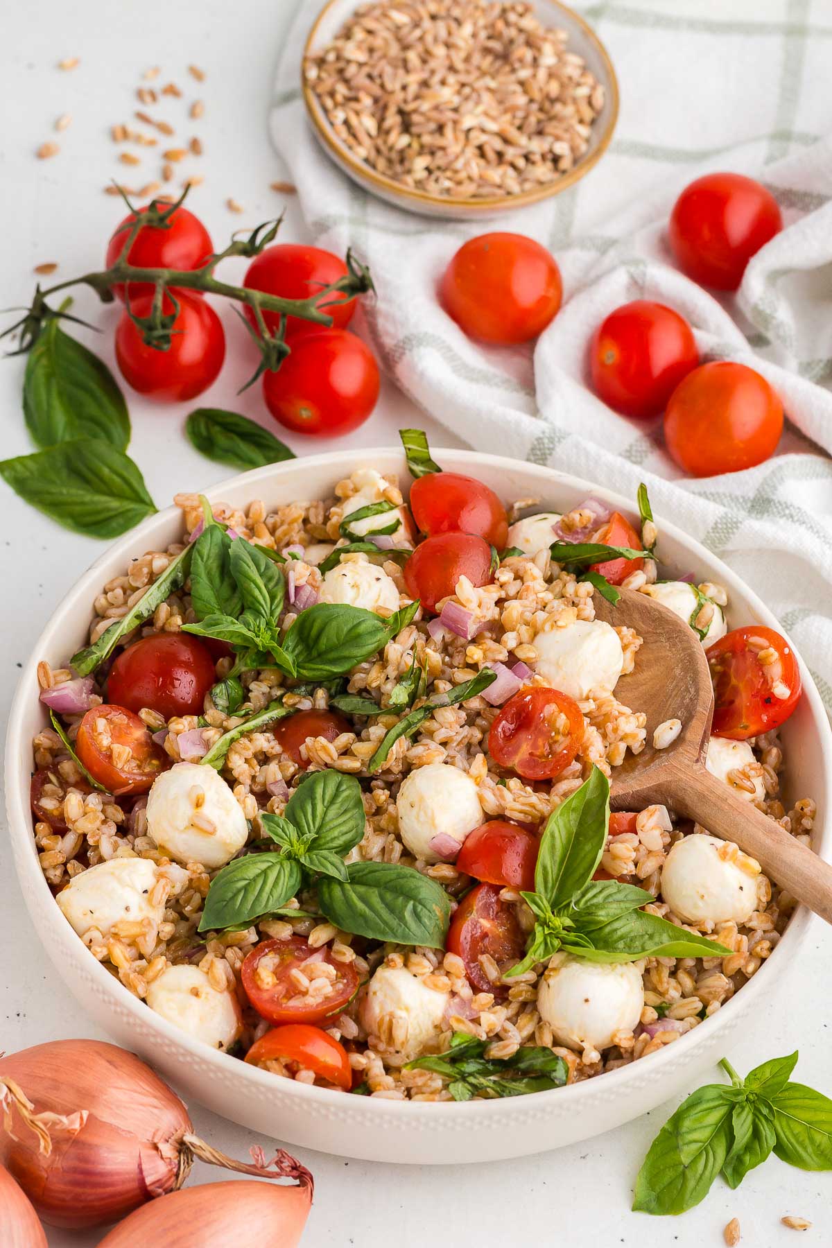 Caprese Farro Salad in a white bowl with cherry tomatoes and farro in the background.