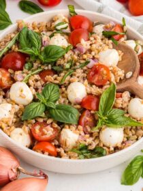 farro caprese salad in a white bowl